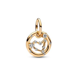 762720C01 - 14k Gold-plated charm