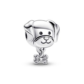 Pet Dog & Bone Charm