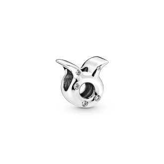 798418C01 - Sterling silver charm