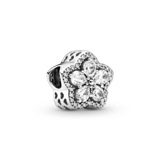 799224C01 - Sterling silver charm